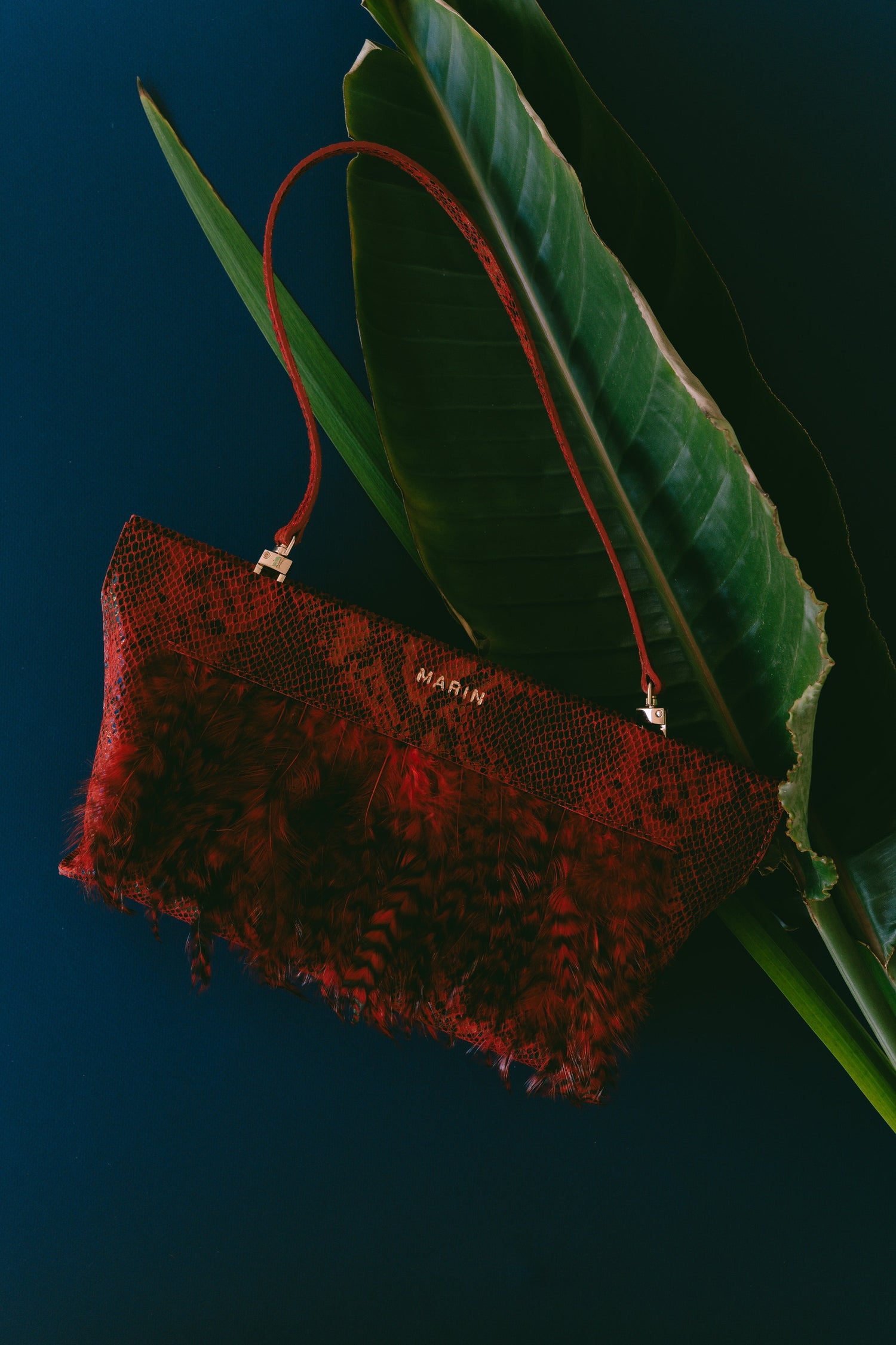 Carteras