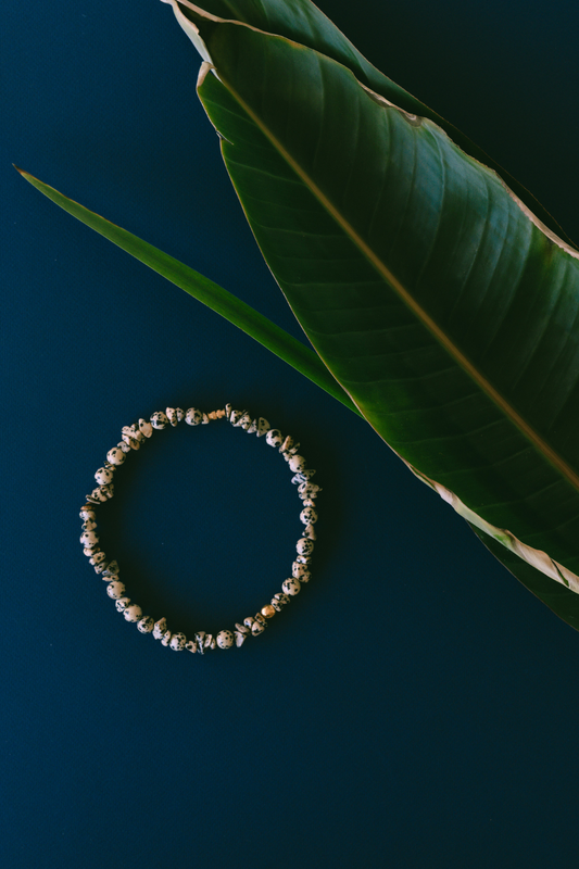 Collar Jaspe Dálmata