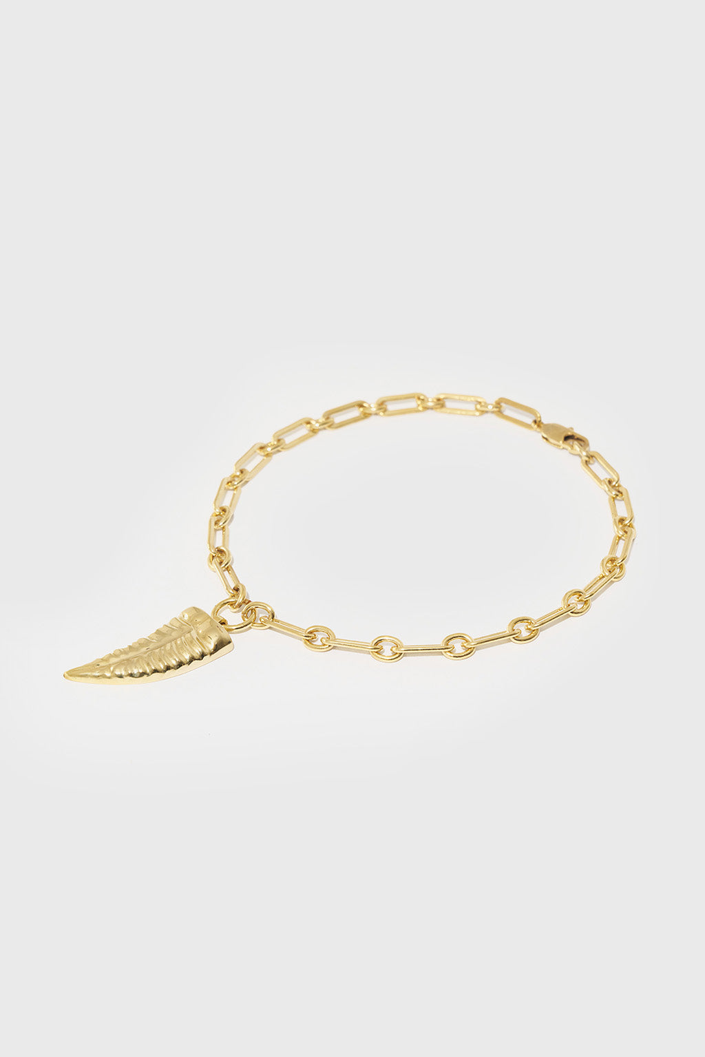 Collar Cuerno de Metal con Cadena